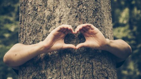 hands-forming-a-heart-shape-around-a-big-tree-protecting, healthy tree maintenance