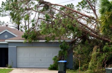 Benefits of Emergency Tree Services