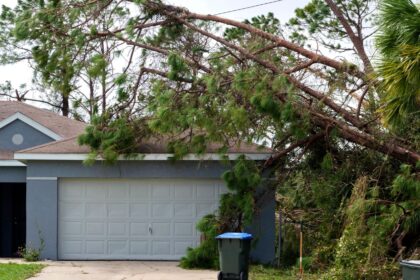 Benefits of Emergency Tree Services