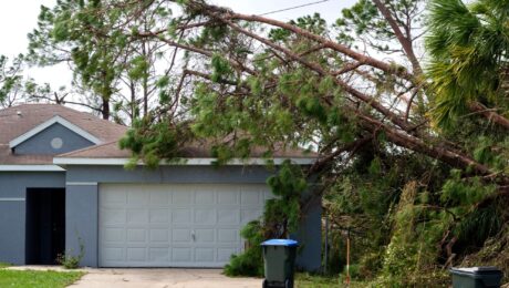 Benefits of Emergency Tree Services