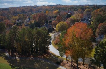 Preserving Trees During Construction