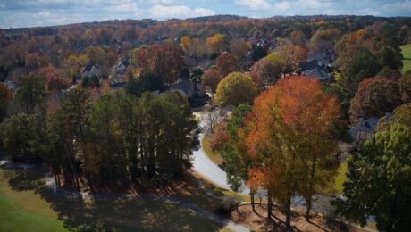 Preserving Trees During Construction