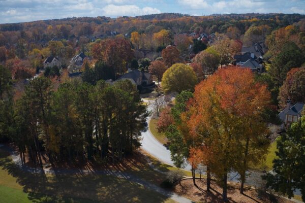 Preserving Trees During Construction