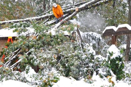 A worker in an orange jacket cutting a fallen tree on a snow-covered house roof after a winter storm, emphasizing the importance of emergency tree services.