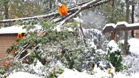 A worker in an orange jacket cutting a fallen tree on a snow-covered house roof after a winter storm, emphasizing the importance of emergency tree services.