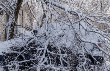 A car heavily covered in snow with fallen tree branches on top of it after a winter storm, illustrating the impact of storm-related tree damage.