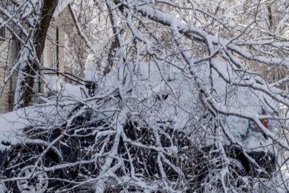 A car heavily covered in snow with fallen tree branches on top of it after a winter storm, illustrating the impact of storm-related tree damage.